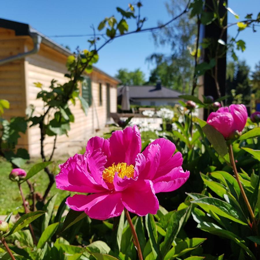 Chalet "Waldhauszeit" Am See Mucke Bagian luar foto